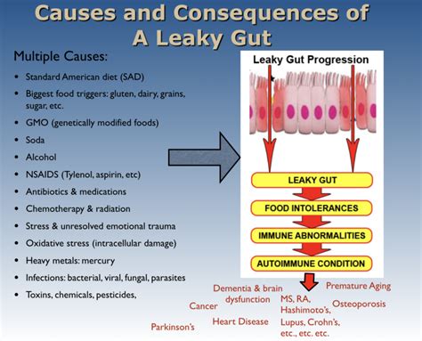 What is Leaky Gut Syndrome? | Five Seasons Medical