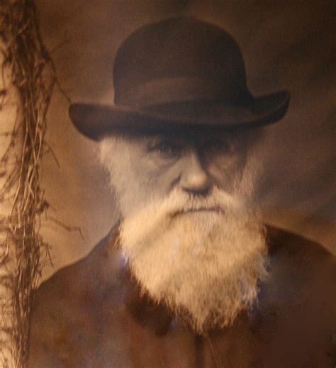 Charles Darwin | Charles darwin biography, Darwin, Charles darwin