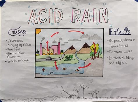 Acid Precipitation Cycle