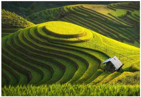 Terrace Farming And Its Top 13 Interesting Facts | Introduction ...