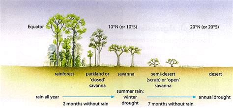 Village Health Children: Desertification : Avoid It To Save Health Ecology