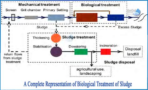 Schematic Diagram Of A Typical Wastewater Treatment Plant - Wiring ...