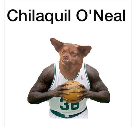 Chilaquil, el perro más gracioso del internet