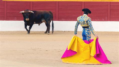 Las corridas de toros: un curioso festejo de la tradición española