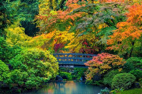 Connections | Portland Japanese Garden | Portland, Oregon | Scott Smorra