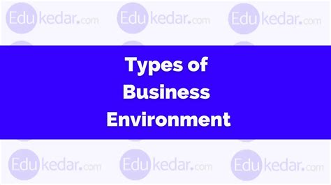 Types of Business Environment: Internal, External (Micro, Macro)