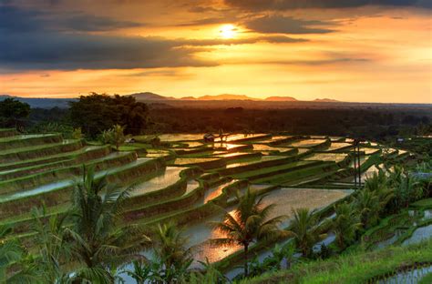 Campos de arroz de Jatiluwih en Indonesia - Mi Viaje