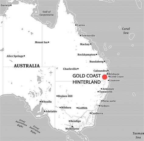 Gold Coast Hinterland Great Walk Highlights | 5 Day Self Guided