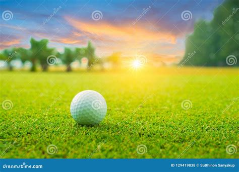 Golf Ball on Green in Beautiful Golf Course with Sunset. Golf Ball ...