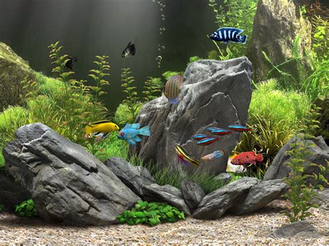 Dream Aquarium 3D Screensaver – Get lost between the reality and the dream!