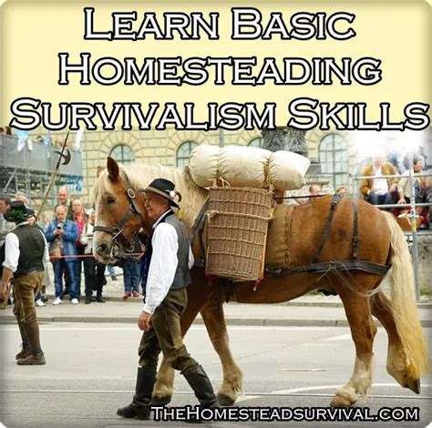 Learn Basic Homesteading Survivalism Skills - The Homestead Survival