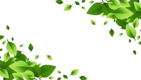 Free Vector | Green leaves scattered background design