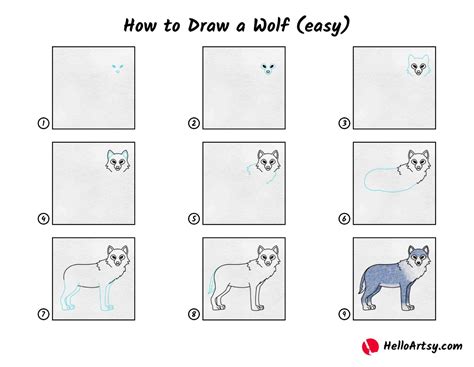 How To Draw A Step By Step Wolf