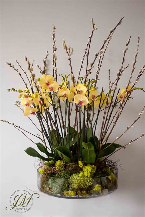 Yellow orchid display. Arrangements Ikebana, Orchid Flower Arrangements, Orchid Centerpieces ...