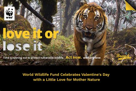 News: WWF Shows the World Some Love in New Campaign