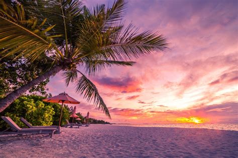 Tropical Beach Sunset Background - 1600x1067 Wallpaper - teahub.io