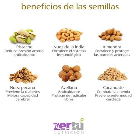 Todas las oleaginosas son deliciosas y nos dan muchos beneficios. | Beneficios de alimentos ...