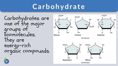 Carbohydrate Definition and Examples - Biology Online Dictionary