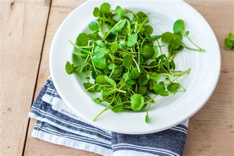 What part of watercress can you eat? — Watercress | Health, Recipes & More