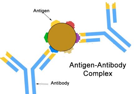 Viruses, Bacteria, and Epidemiology | Biology I Laboratory Manual