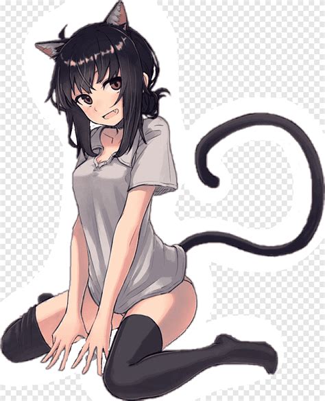 Catgirl Anime music video Dakimakura, Cat, mammal, animals png | PNGEgg