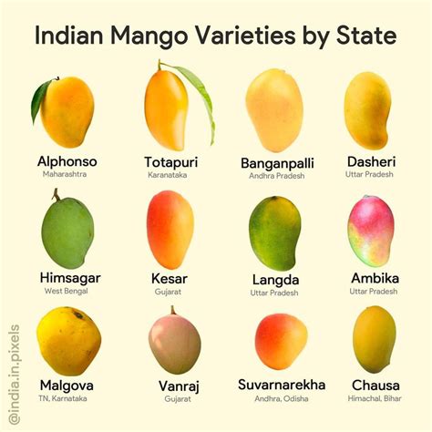 Indian mango varieties by states. | Mango varieties, Mango, Mango types