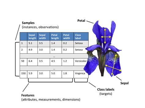 Exploratory Data Analysis : Iris Dataset | by Pranshu Sharma ...