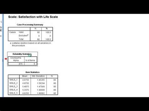 Reliability Coefficient Cronbach Alpha