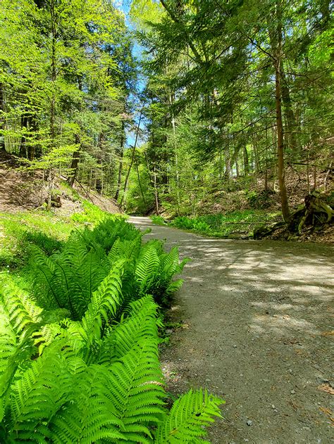 Friends of Saratoga Spa State Park | Trail Committee