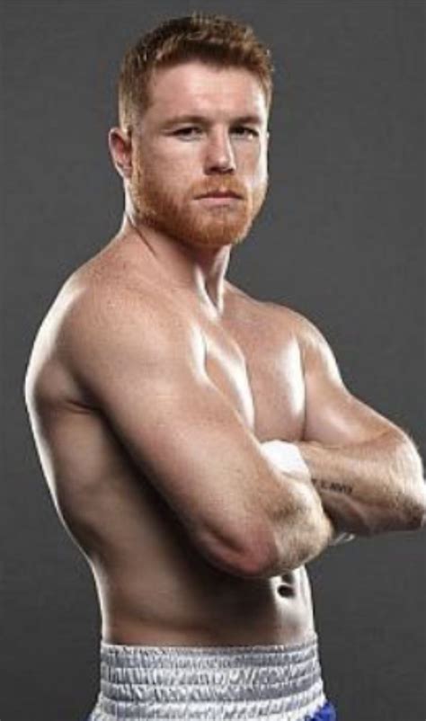 Saul “Canelo” Alvarez, Mexico IBF World Middleweight Champion 2019 ...