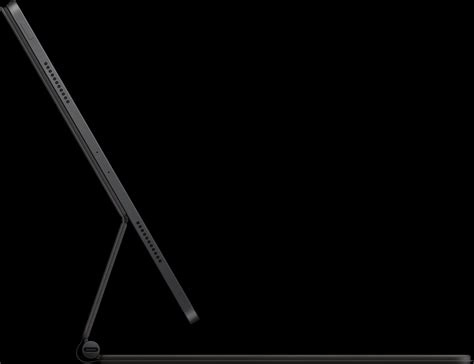 BLACK 12.9inch iPad Pro - nimfomane.com