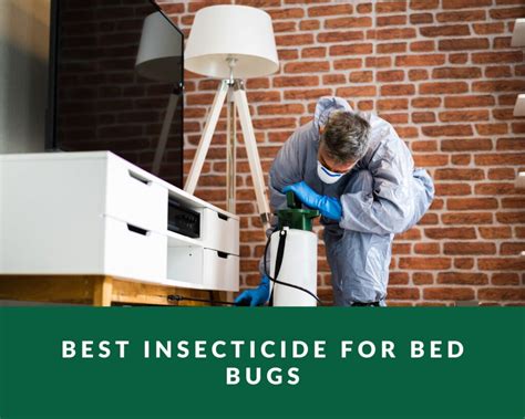 Best Insecticide for Bed Bugs - Zero Pest NG