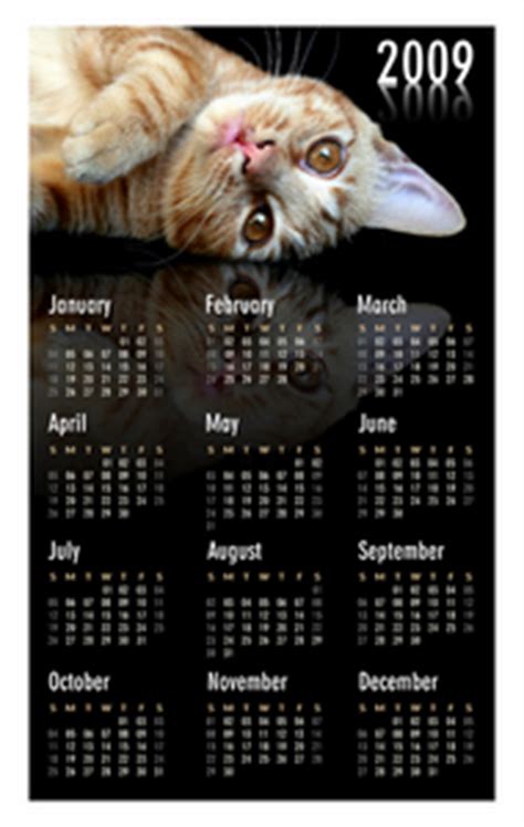 A unique cat calendar is a perfect cat lover gift