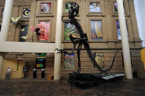 Denver Museum of Nature and Science is one of the very best things to do in Denver