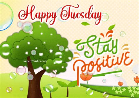 Happy Tuesday 2023 GIFs - Stay Positive | SuperbWishes.com