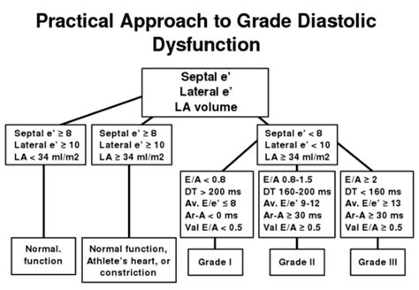 Normal Values, Sonography, Cardiology, Nurse Practitioner, Pharmacology, Report Template ...