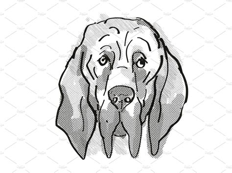 Bloodhound Dog Breed Cartoon Retro | Bloodhound dogs, Cartoon style drawing, Bloodhound