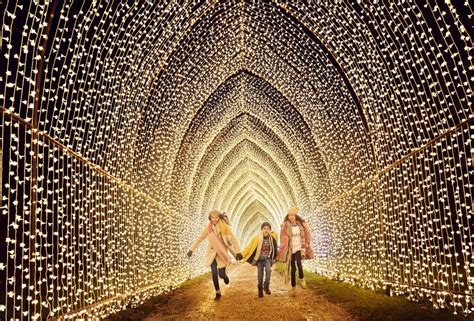 Add Houston Botanic Garden to Your Holiday Lights Bucket List | Houstonia Magazine