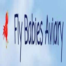 Fly Babies Aviary - Crunchbase Company Profile & Funding