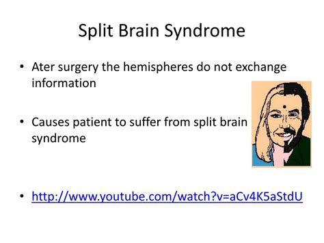 PPT - The split Brain PowerPoint Presentation, free download - ID:2591366