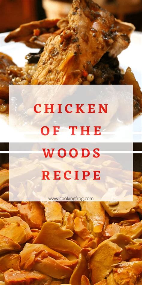 Chicken of the Woods Recipe - Cooking Frog