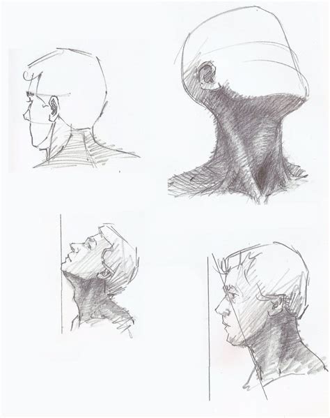 Neck Drawing Reference and Sketches for Artists