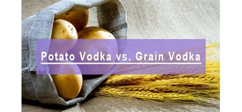 Potato Vodka vs. Grain Vodka: What’s the Difference?