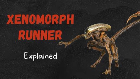 Xenomorph Runner - Explained (Alien Lore) - YouTube