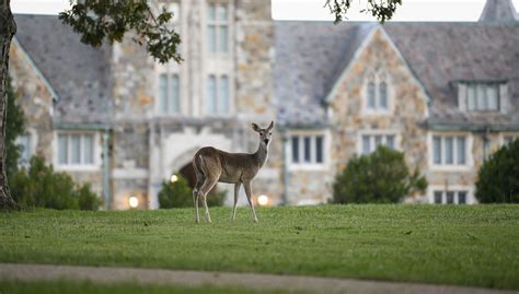 Berry College listed by Architectural Digest for Beauty.