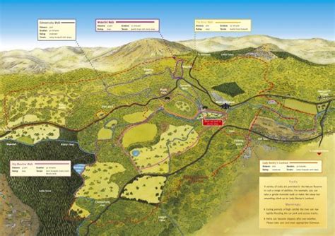 Walks Map & Leaflet - Glengarriff Nature Reserve