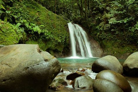 Crayfish Falls, Guadeloupe - Beautiful places. Best places in the world. Shut up and take me there!