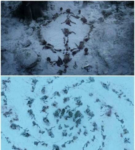 [MAIN SPOILERS] Why do White Walkers leave behind symbols? : r ...