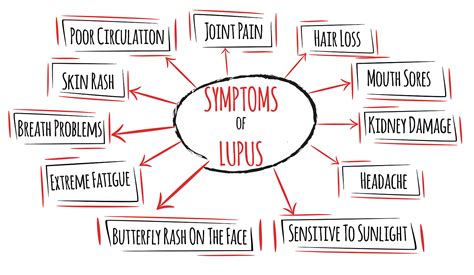 Signs and Symptoms of Lupus - Kingwood Emergency Hospital