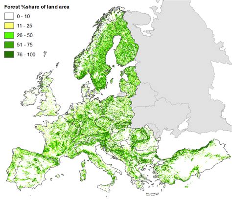 Forest Map of Europe | European Forest Institute